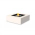 EcoSmart Base 40 Outdoor Ethanol Kamin